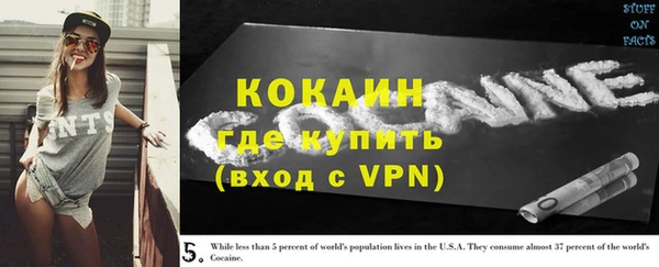 мет Инсар