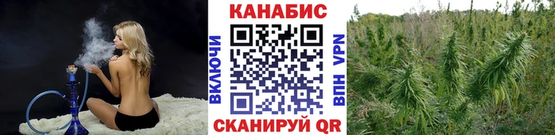 Купить закладки  Купино  МАРИХУАНА THC 21% 